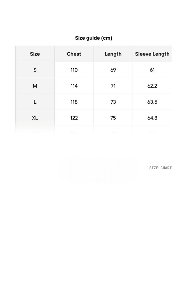 Pullover Round Neck Long Sleeves Shirt