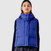 Alia Quilted Hooded Vest Jacket