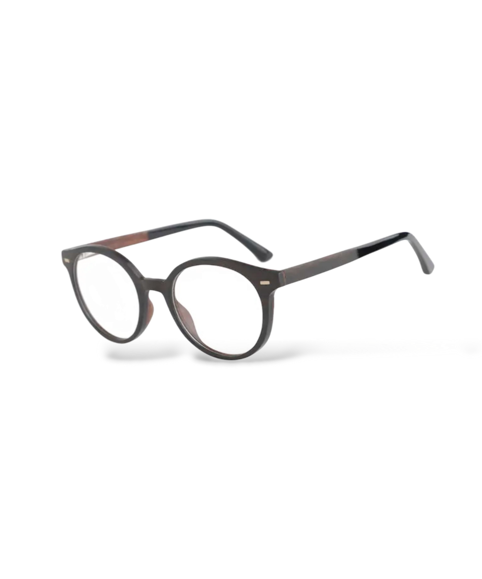 Artist's Vision Eyewear ANJE REBEL